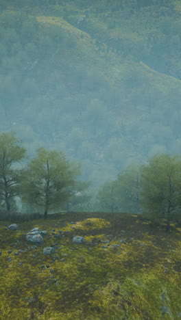 paisaje de bosque brumoso