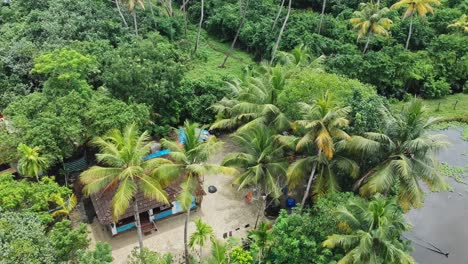 aerial view of a rural house in india , little house by the lake , aerial view of small houses standing in coconut groves