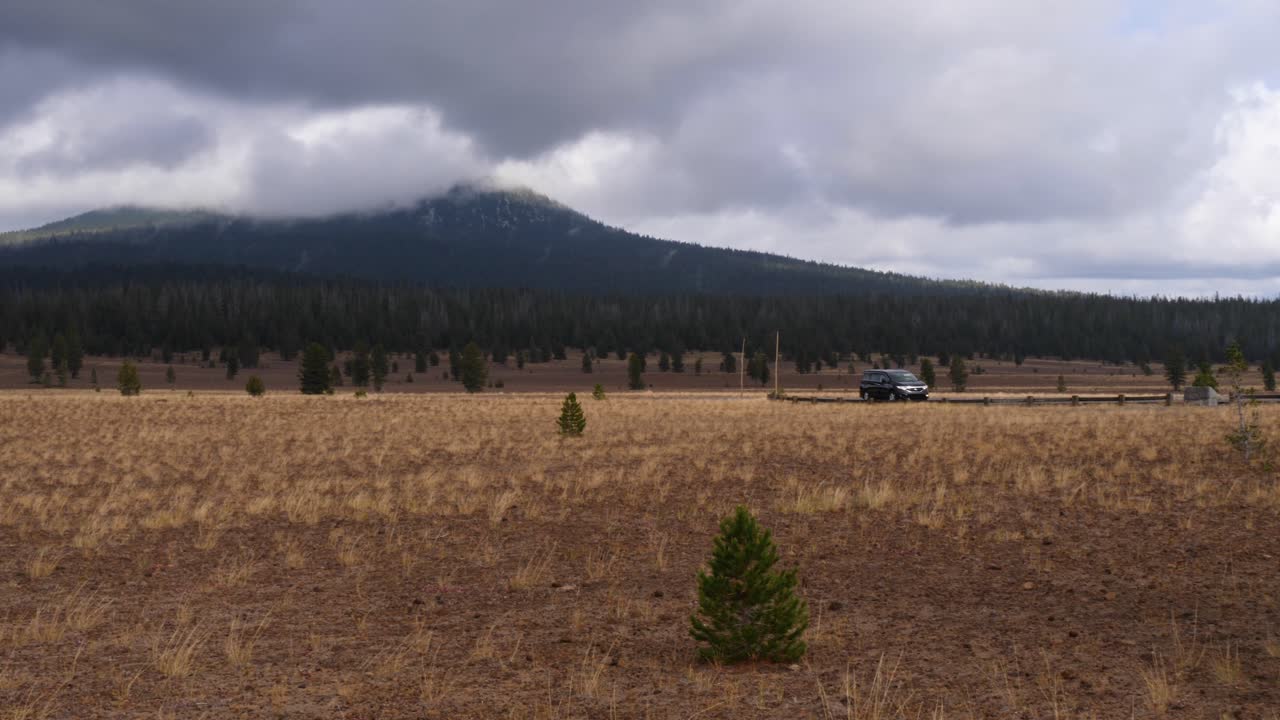 낮은 구름과 드문 드문 나무가 있는 부석 사막 도로