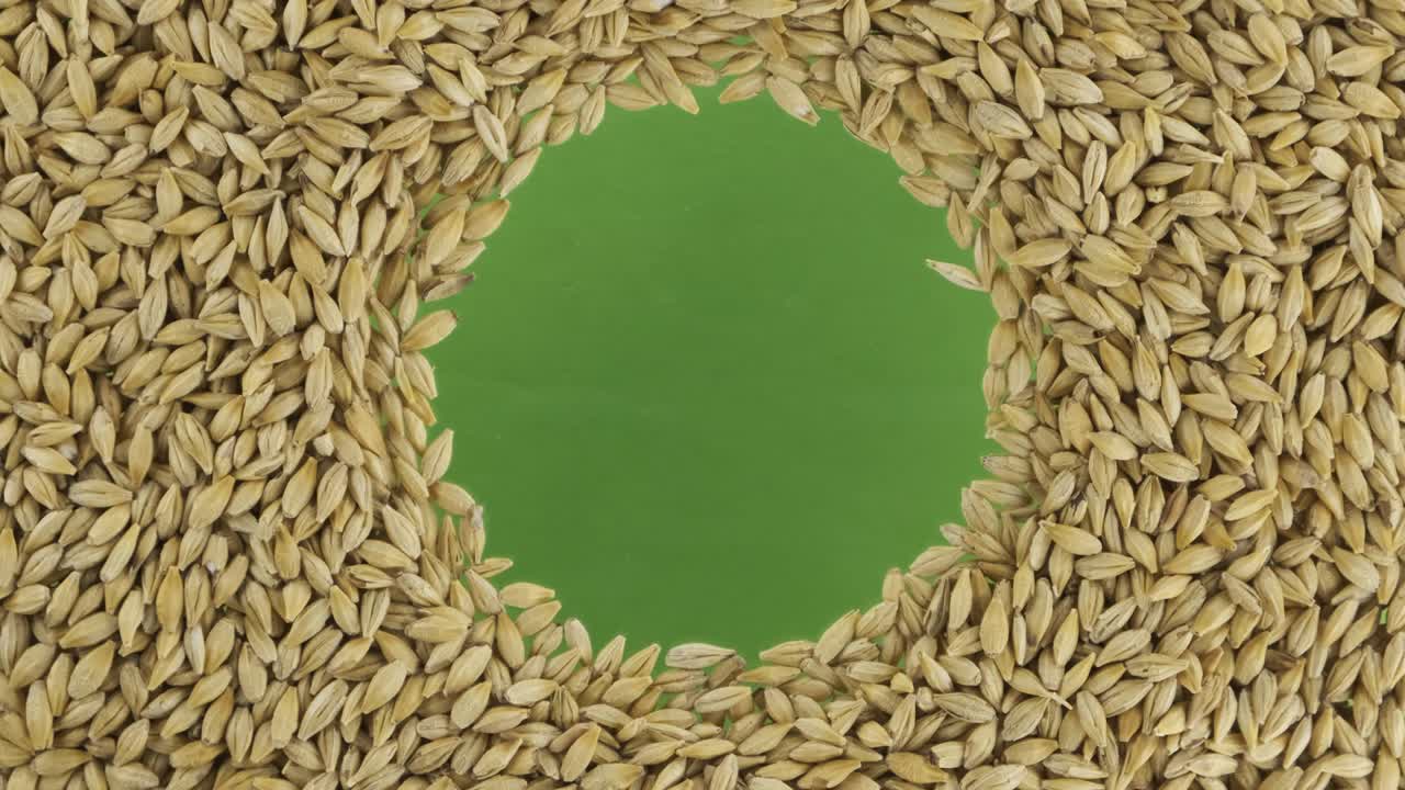 중앙에 공간이 있는 원으로 어져 있는 보리 곡물의 회전.