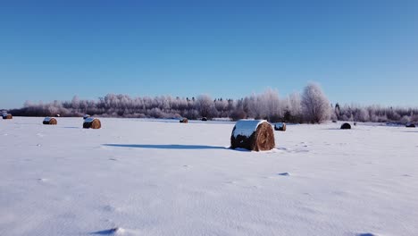 Hay-roll-filed-covered-with-snow-aerial-view-low-sunlight-long-shadows