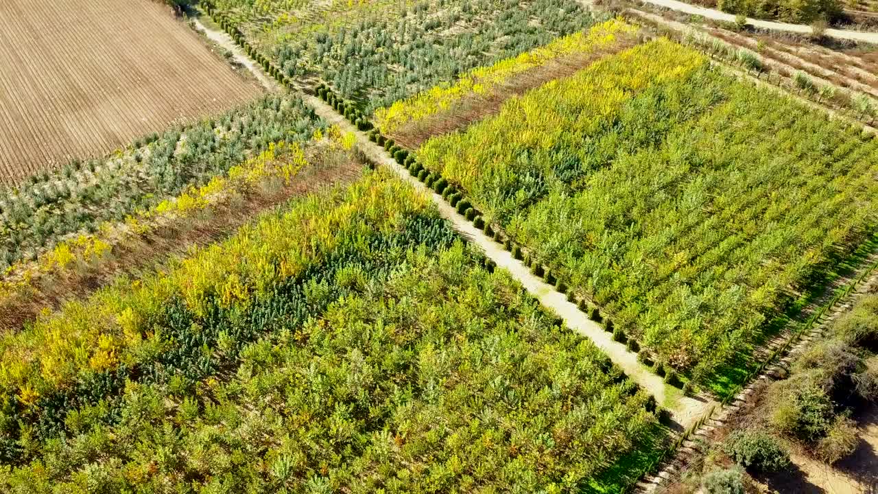 과일 나무가 있는 들판의 공중 드론 샷