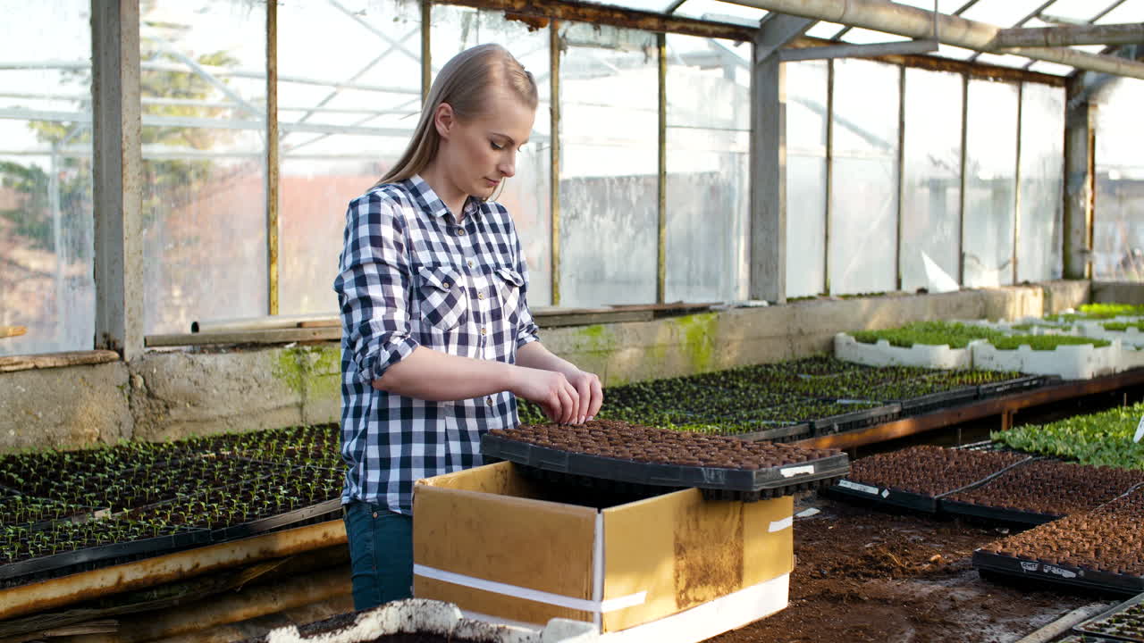 молодая женщина-ботаник рассматривает комнатное растение 8