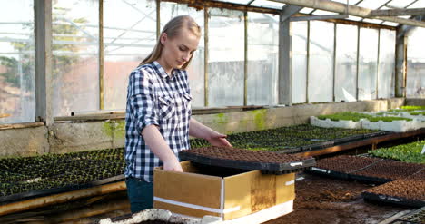 young female botanist examining potted plant 8