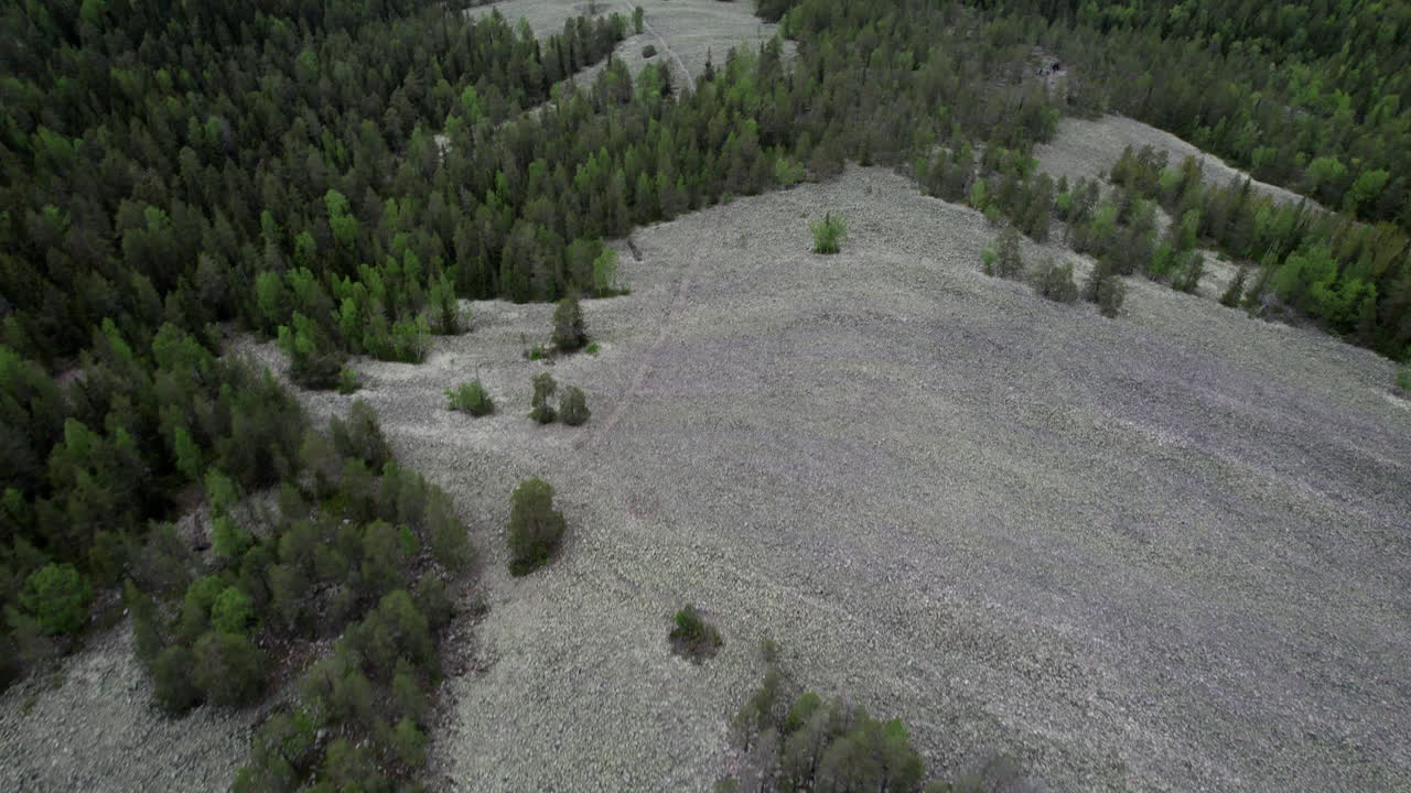 Drone View of Swedish Forest and Lake Landscape in the Summer, Top Shot
