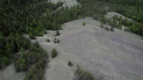 drone view of swedish forest and lake landscape in the summer, top shot