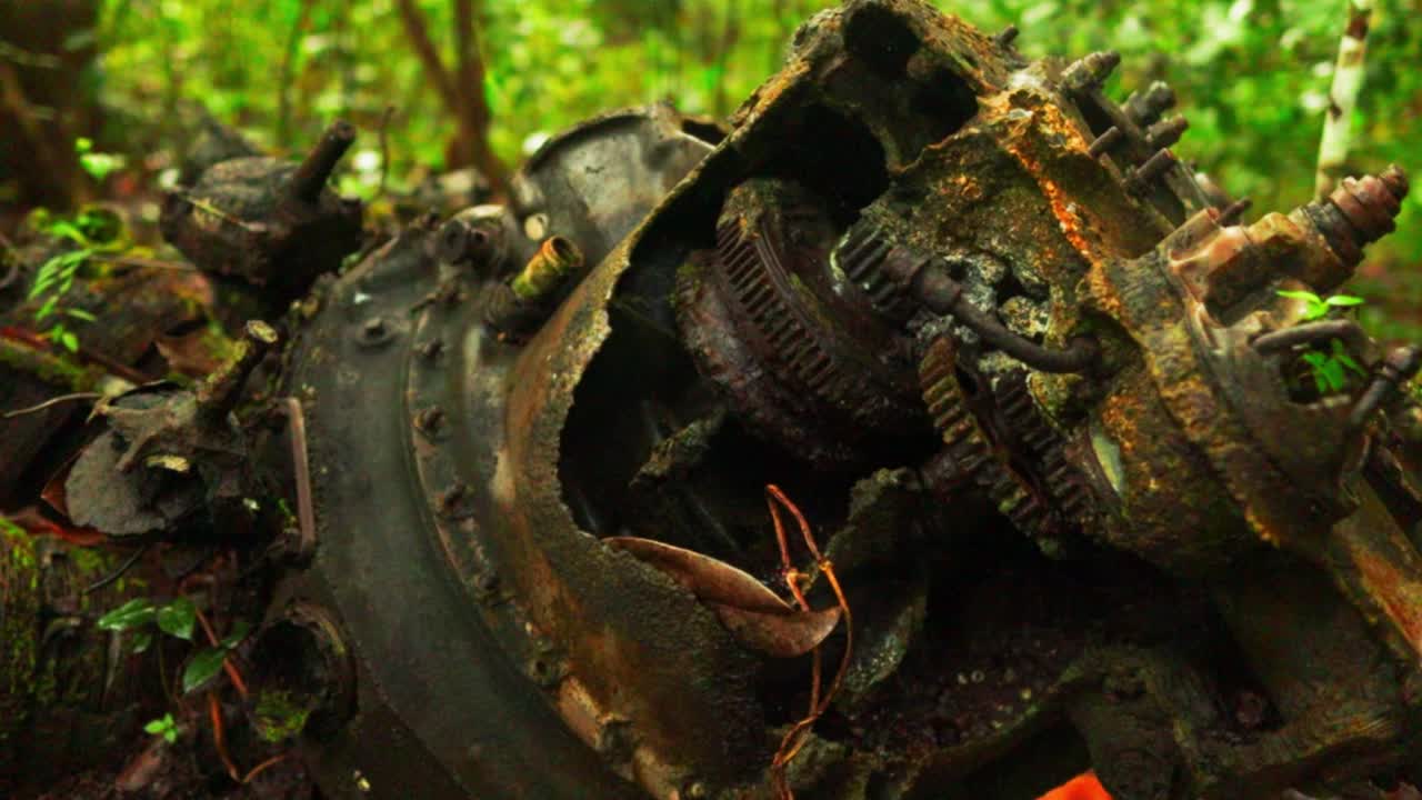 녹슬고, 부식되고, 버려진 금속 세공물은 삼림 지대 식물 황야에서 녹슬었습니다.