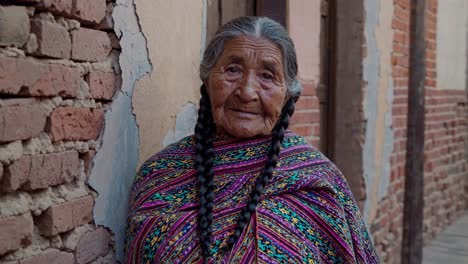 portrait of a serene indigenous elder posing against a weathered brick wall, her long braided hair and vibrant shawl reflecting her cultural heritage