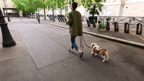 person walking a dog along a tree-lined city street