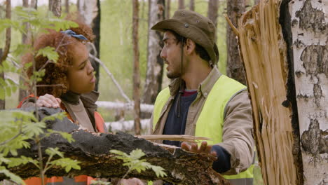 ativista afro-americana e colega de trabalho caucasiano falando na floresta