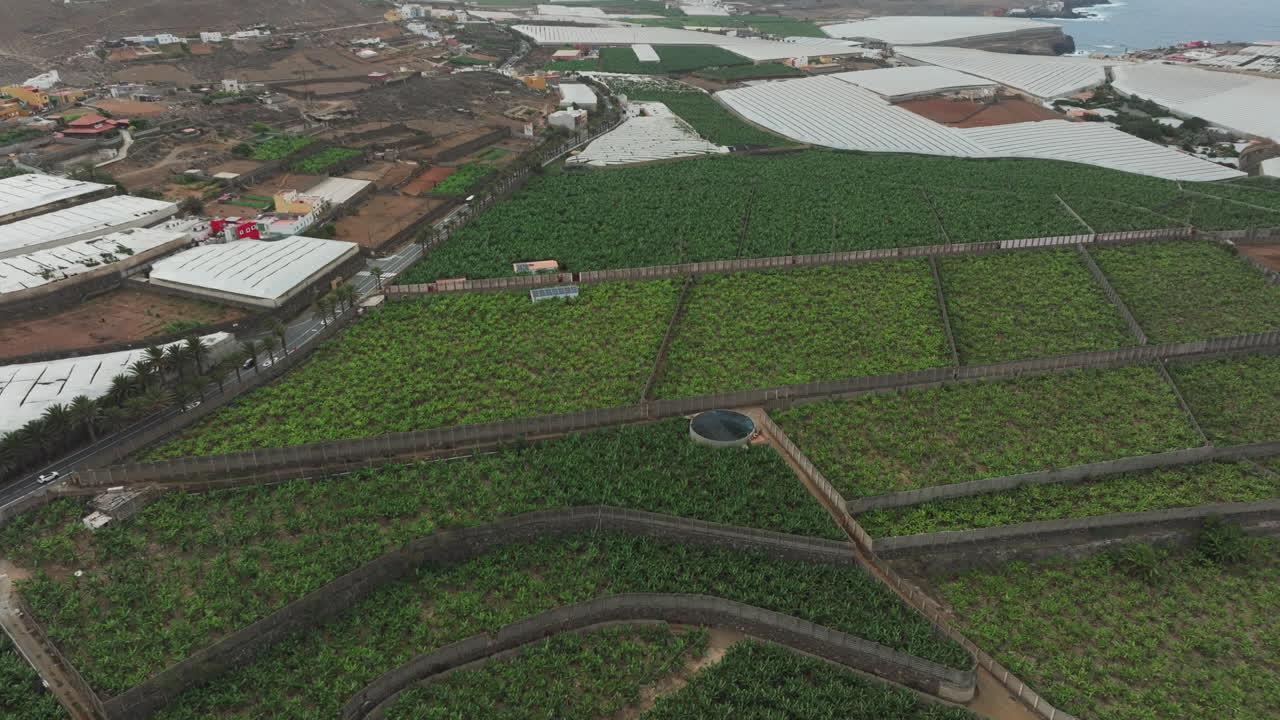 ⁇ 은 날 그란 카나리아 의 북쪽 해안 근처 에 있는 큰 바나나 농장 에 대한 공중 전망