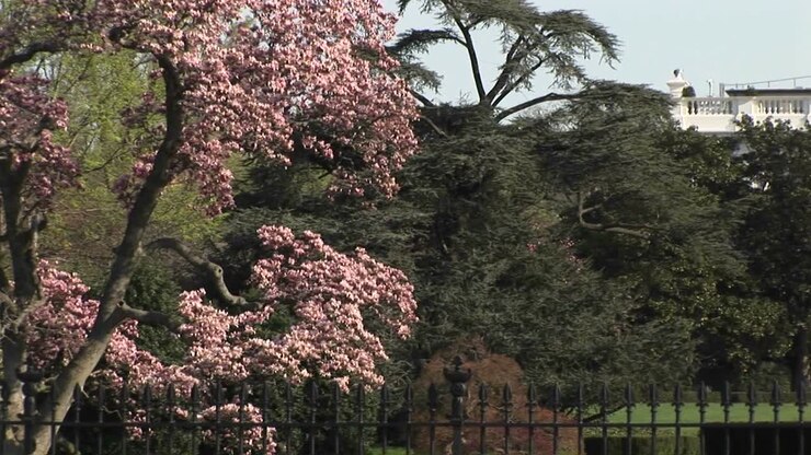 The Camera Pansright From One Side Of The White House To The Other