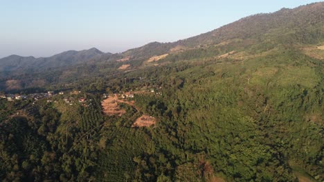 Wunderbare-Natur-In-Thailand-Mit-Verschiedenen-Bäumen-An-Einem-Hellen-Sonnigen-Tag---Luftaufnahme