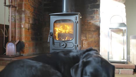 open fire stove with dog sitting in front