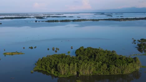 aerial view of forest island submerged in flood water in sylhet, bangladesh