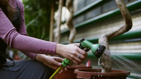 Close Up view of young attractive female gardener in uniform watering trees with garden hose in greenhouse. Slow Motion shot