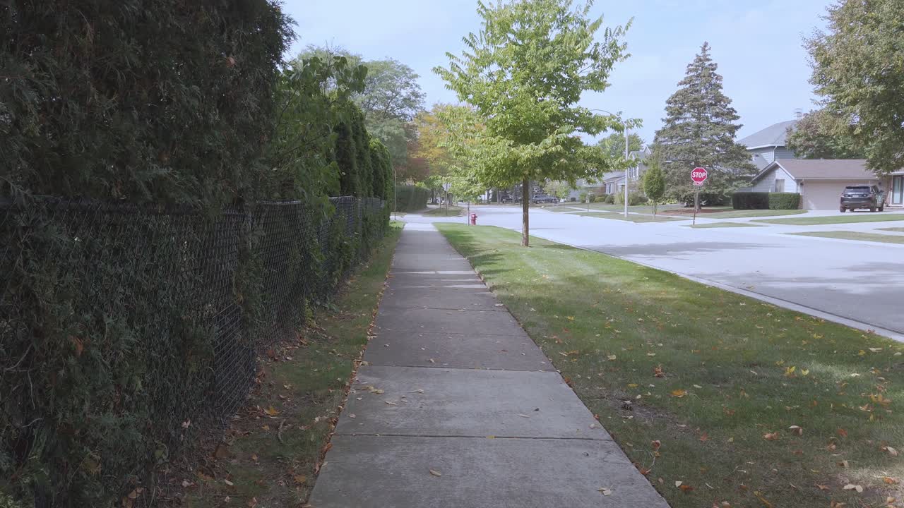 Walking on a sidewalk with bushes in the autumn