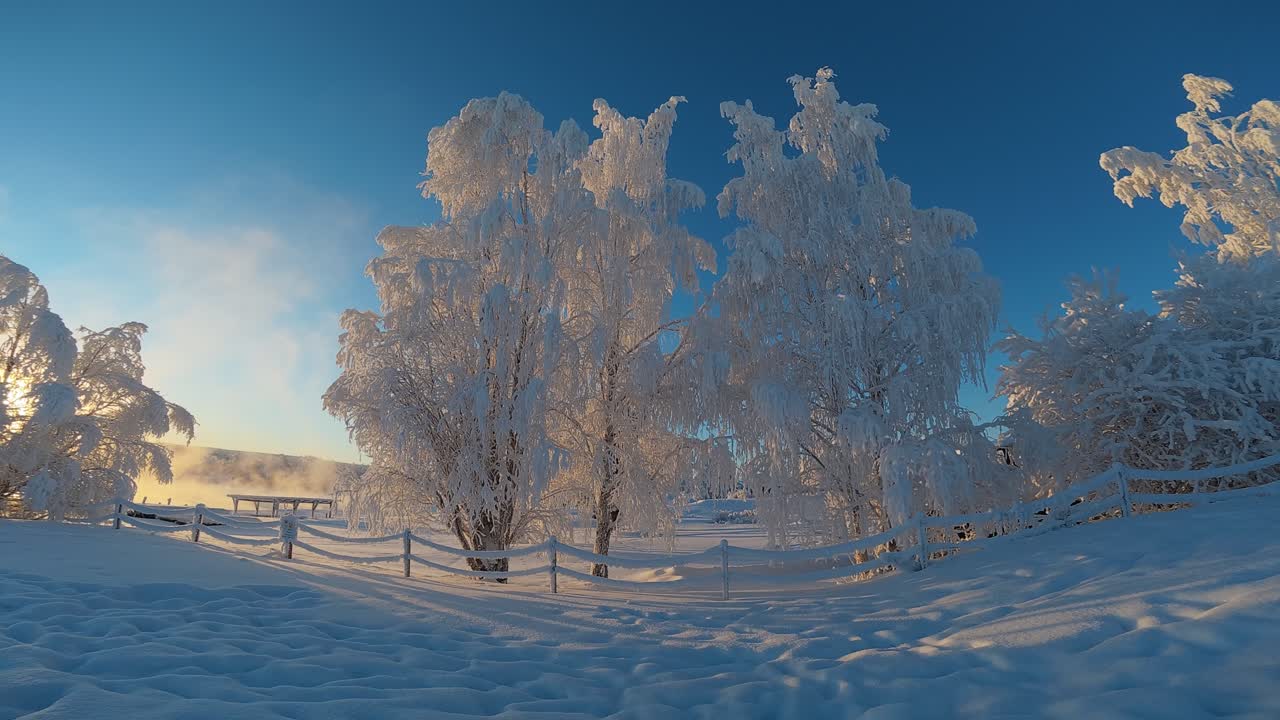 Spektakulære snødekte trær i Finlands arktiske vinter i Lapplands vakre natur.