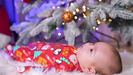 beautiful caucasian child lies resting under christmas tree. little newborn kid start to wave his tiny hands and feet. side view.
