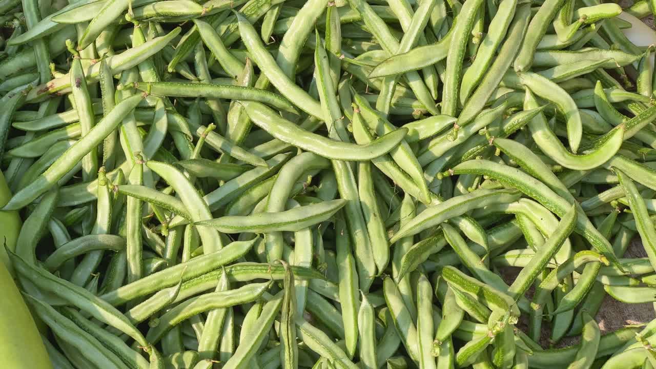 A pile of Lima Beans or fresh Sem Phali