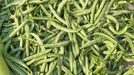 a pile of lima beans or fresh sem phali