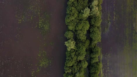 Vista-Aérea-De-4k-Del-Sistema-De-Lagunas-De-Pateira-De-Frossos-En-Albergaria-a-velha,-Drone-Volando-Sobre-Un-Parche-De-Vegetación-Que-Divide-Los-Campos-Inundados,-60fps