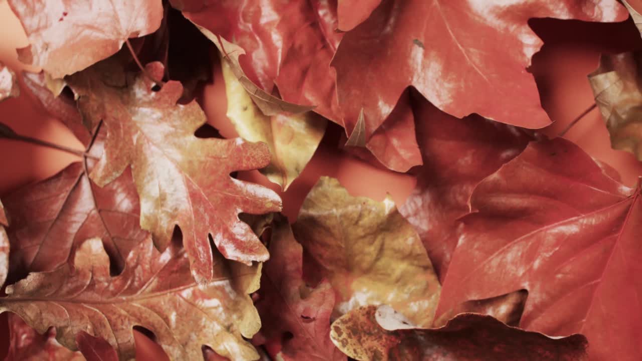 video de las hojas de otoño de halloween con fondo de espacio de copia