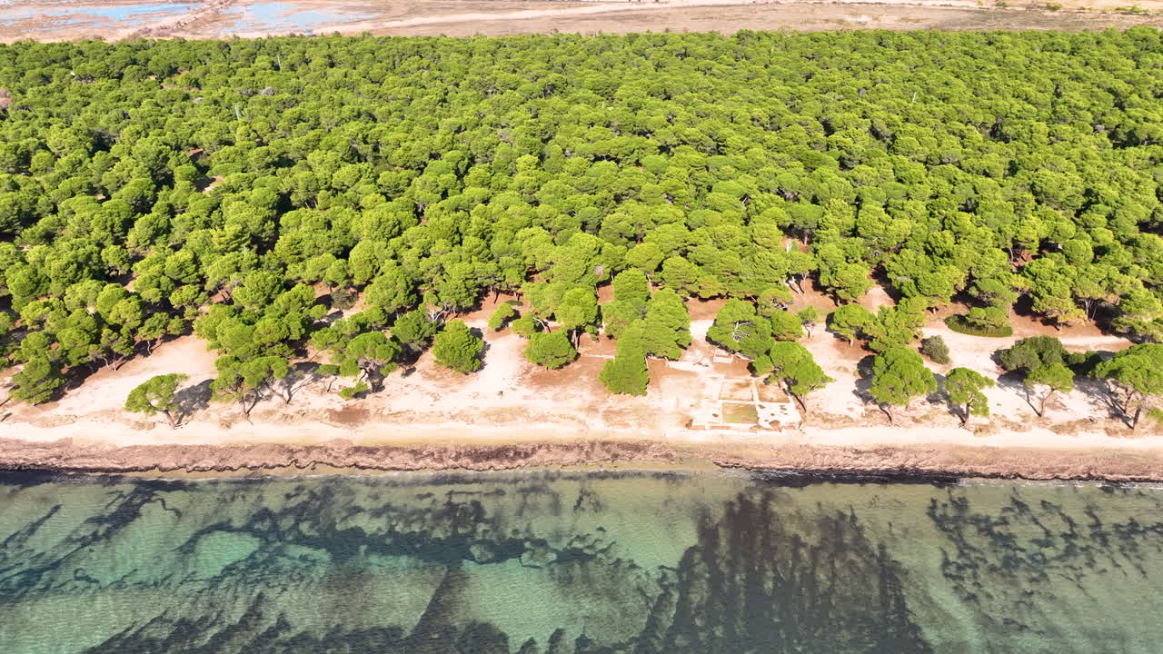 vuelo de drones sobre un bosque junto al mar