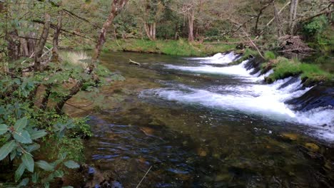 Small-waterfall-in-the-dam-of-the-River-Sor-that-runs-through-the-valley-of-green-nature-in-spring