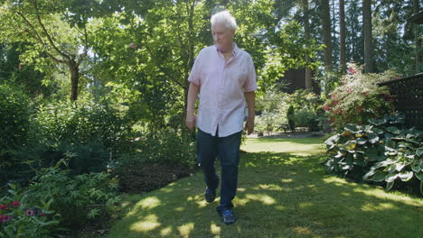 older man walks in garden with shrubs, flowers, sun flare, tilt up