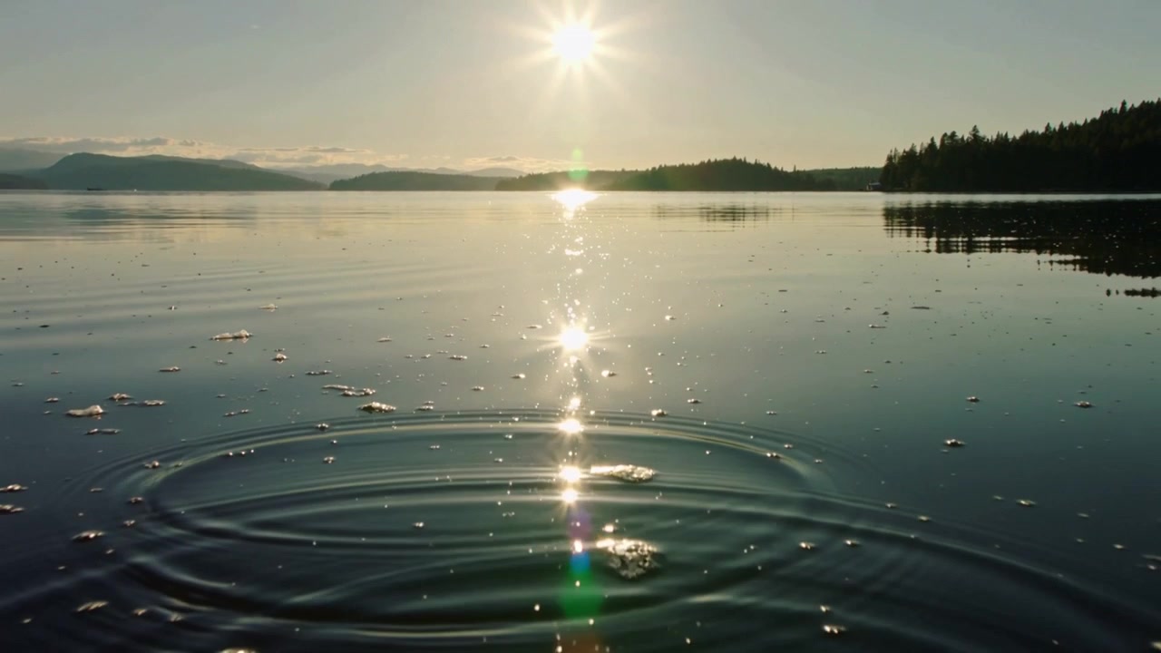 Udvidende koncentriske vandkrusninger, der udgår fra et lille nedslag hen over en rolig sø med solrefleksion.