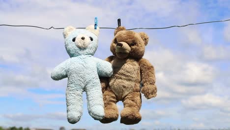 faithful friends bears after washing place for advertising text