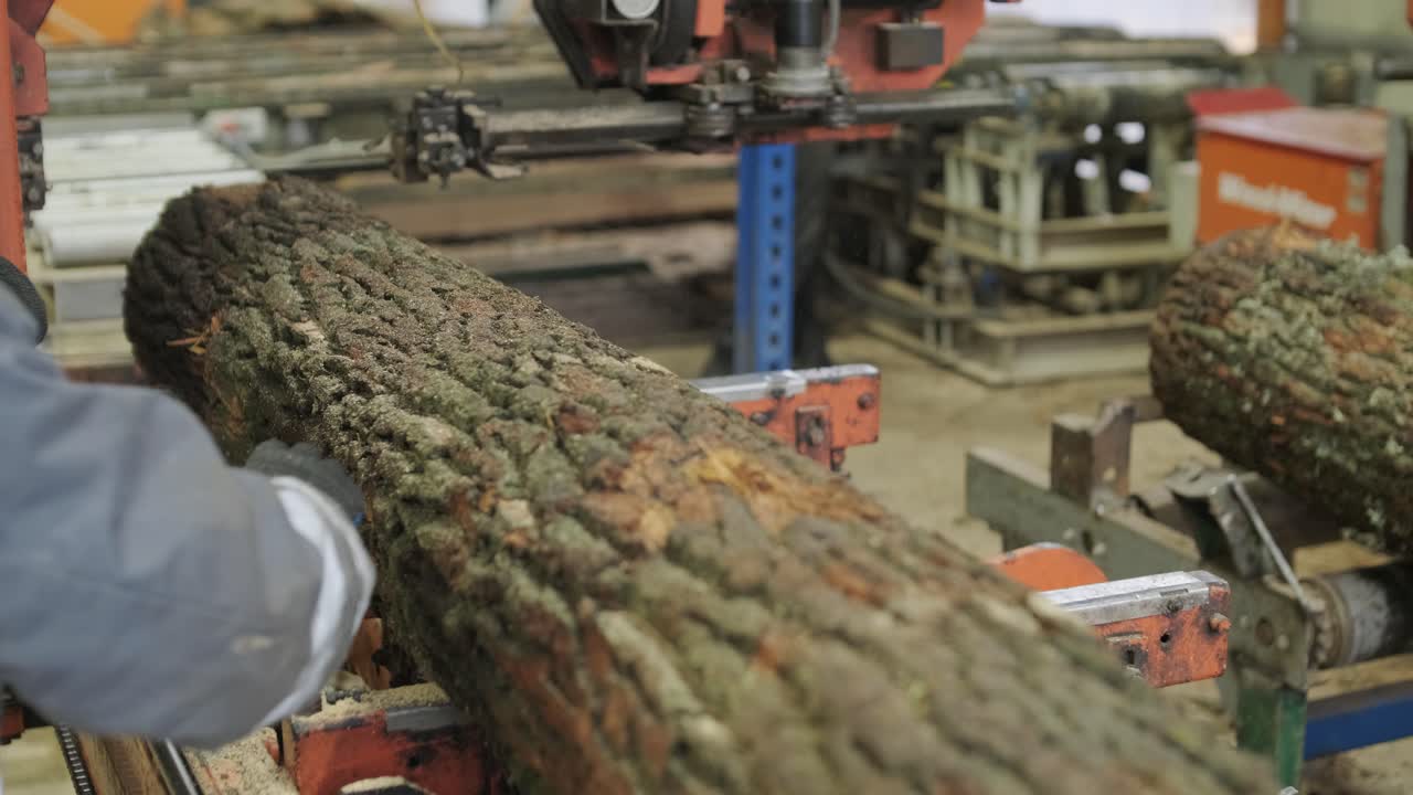 Worker Operating Sawmill Machine to Cut Log into Planks