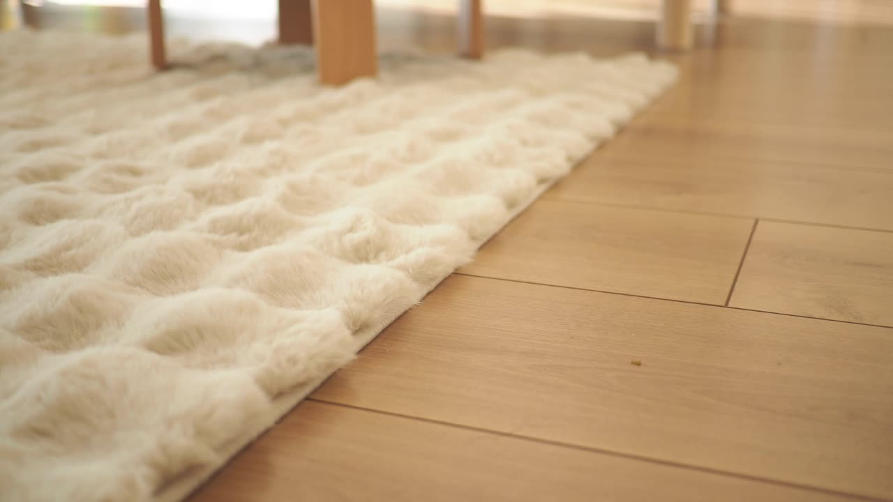 Cream colored fluffy rug on wooden floor