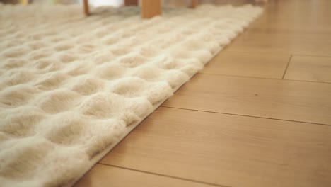 cream colored fluffy rug on wooden floor