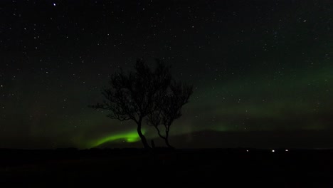 Zeitraffer-Von-Erstaunlichen-Nordlichtern,-Gefilmt-In-Island-Mit-Wunderschönem-Solo-Baum-Im-Vordergrund