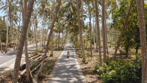 couple riding scooter on tropical island exploring palm tree forest on motorcycle tourists explore holiday destination with motorbike aerial view