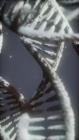 3d render of a dna double helix