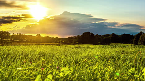 Zeitraffer-Einer-Wunderschönen-Wiese-Mit-üppigem-Wald-In-Der-Ferne