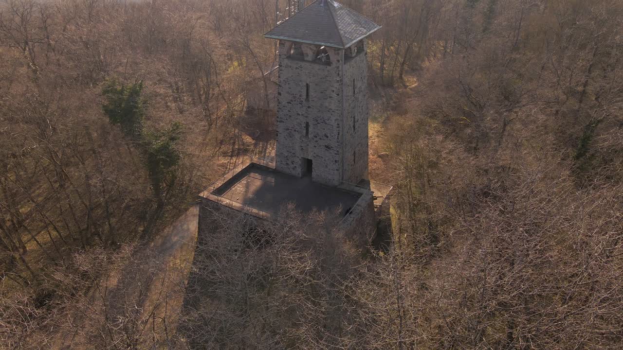 человек осматривает верхний уровень старой смотровой башни в густом, но голом, коричневом лесу в лучах вечернего солнца