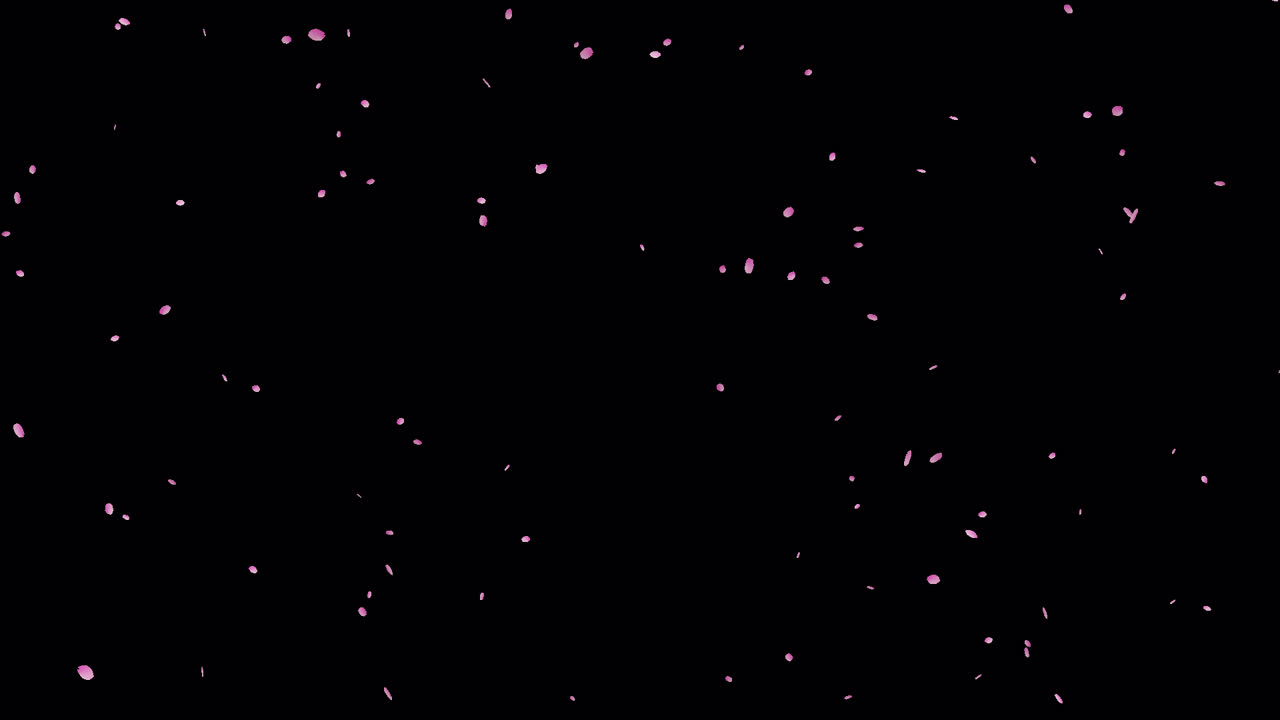 체리 꽃 애니메이션 오버레이 1080p - 30fps - 알파 채널 (1)