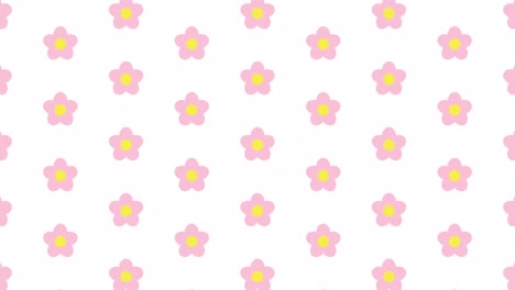 simple and cute flower background animation white background