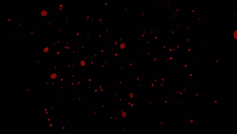 fondo negro con círculos móviles