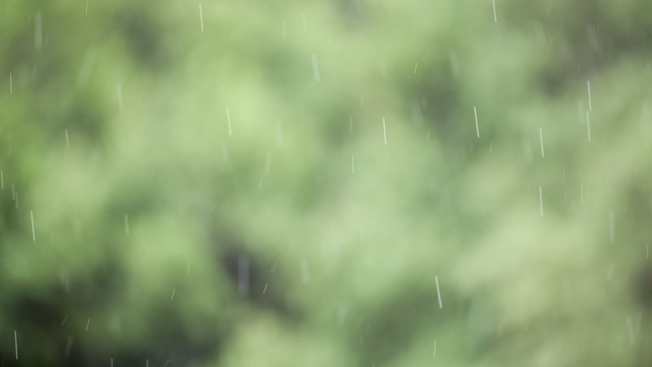 Slow motion rain falls in front of a blurred green background - selective focus