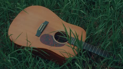 acoustic guitar in grass