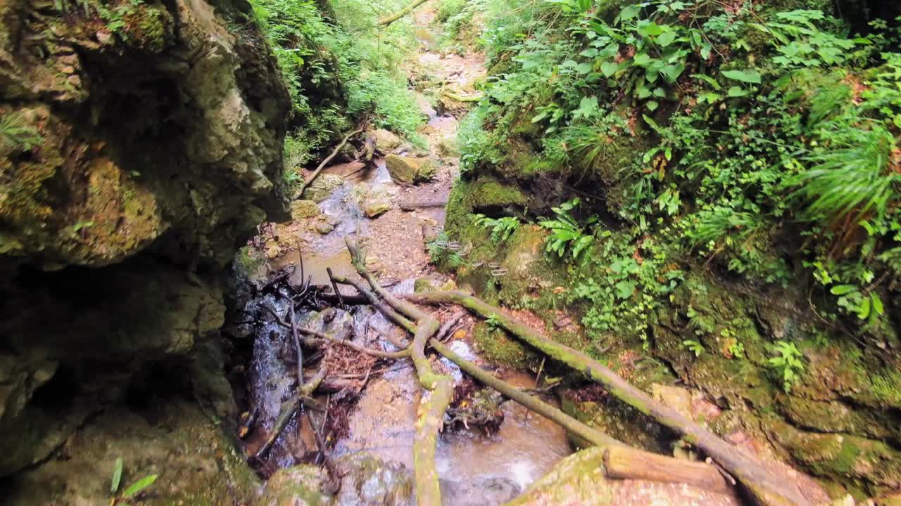 Flying over a smal river in a tight valley. Beautiful green nature surroundings. Canyon Hudicev Graben, Slovenia