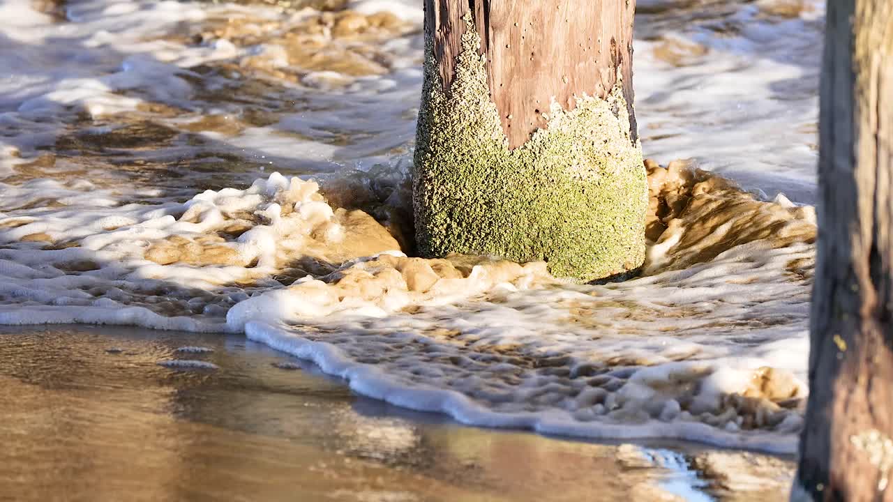 Gentle waves wash over a lichen-covered pier post at Bellarine Peninsula, captured in natural daylight with dynamic water movement