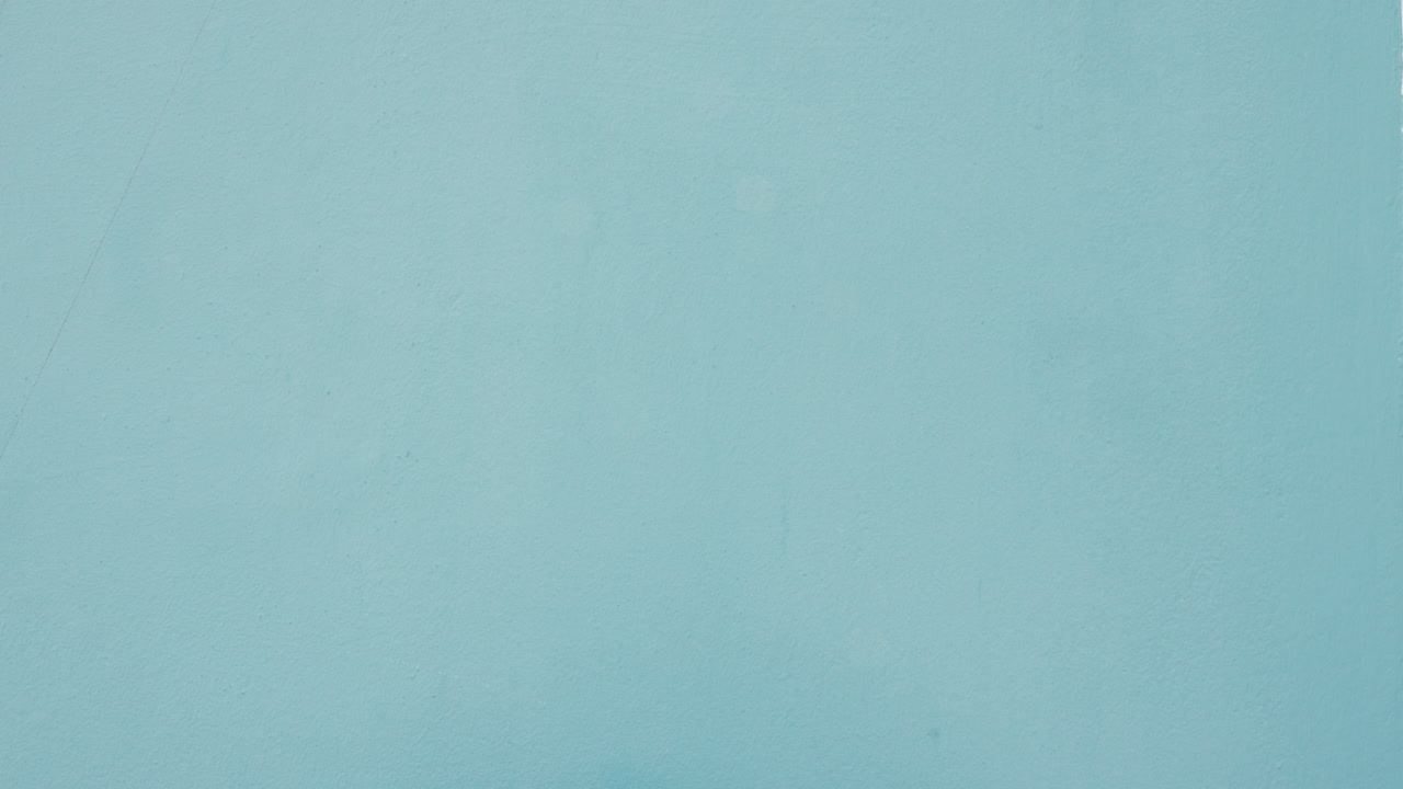 primer plano de las manos de la mujer que se abren para mostrar la maqueta