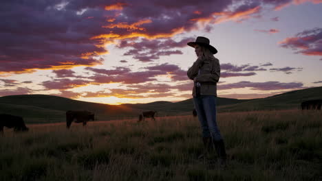 cowgirl at sunset with cows