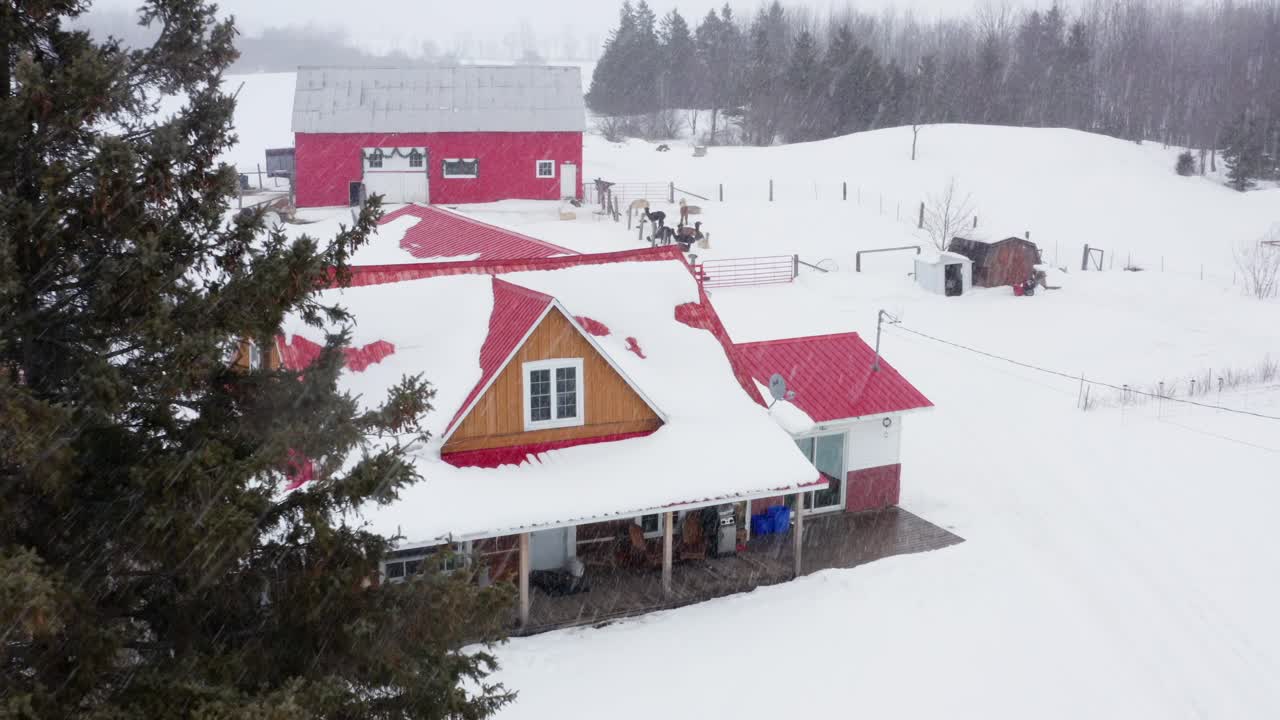 Aerial Shot of Snowy Winter on Alpaca Farm